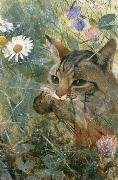unknow artist Cats with fagelunge in mouth USA oil painting artist